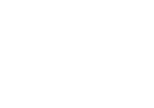 Zentris Strategy Logo